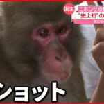 【人とパシャリ！】“史上初”2ショット写真が撮れるサル登場 高崎山自然動物園