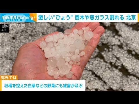 北京で激しい雹　倒木や車の窓ガラス割れる被害(2022年9月5日)