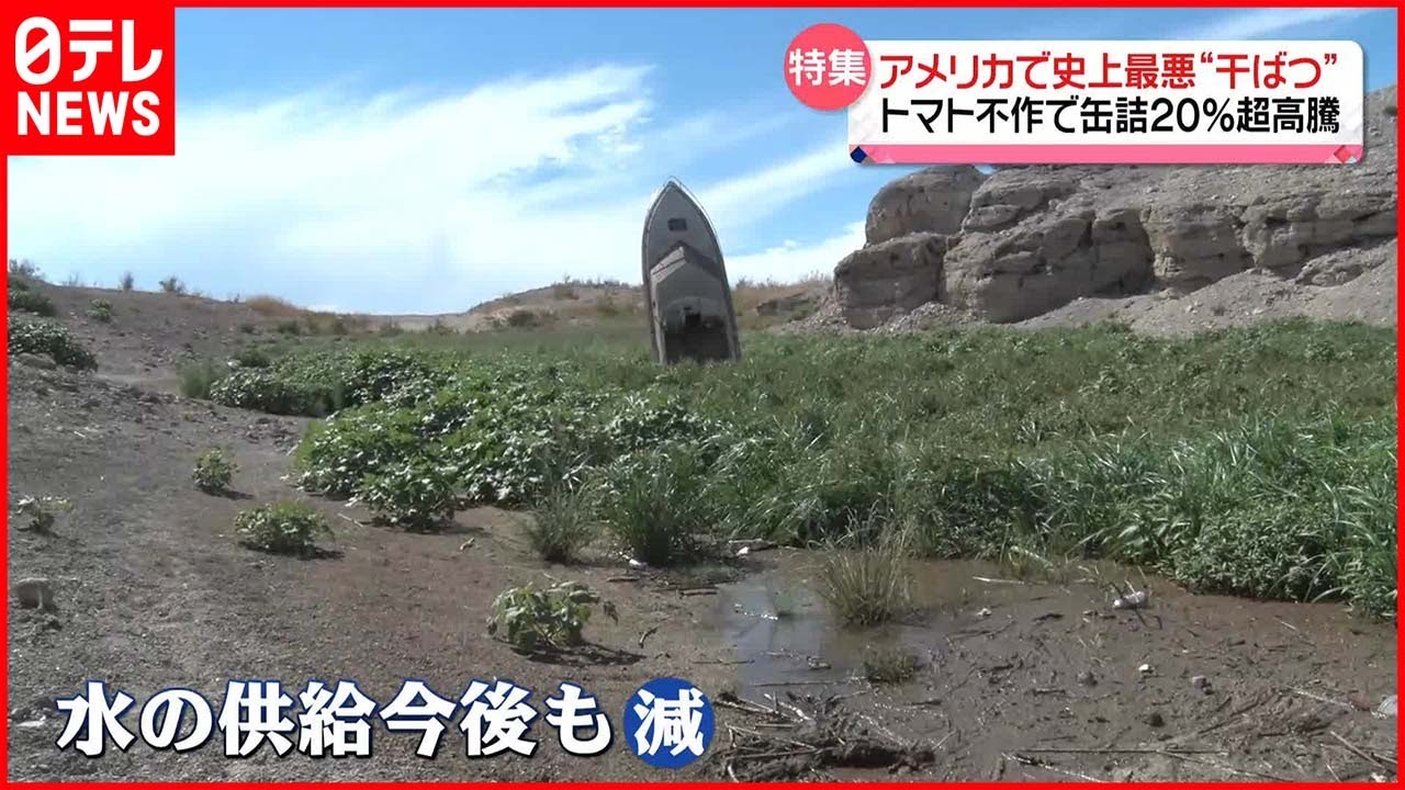 【干ばつ】アメリカで“トマト缶”20%超の高騰…背景に深刻な「水不足」 世界の加工用トマト6%~15%減との試算も