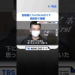 駅前街路樹に“体長１メートル20センチ”のクマ　深夜の捕獲劇一部始終　仙台｜TBS NEWS DIG #shorts