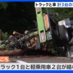 大型トラックと軽乗用車2台が絡む事故　2人死亡　秋田・大仙市｜TBS NEWS DIG