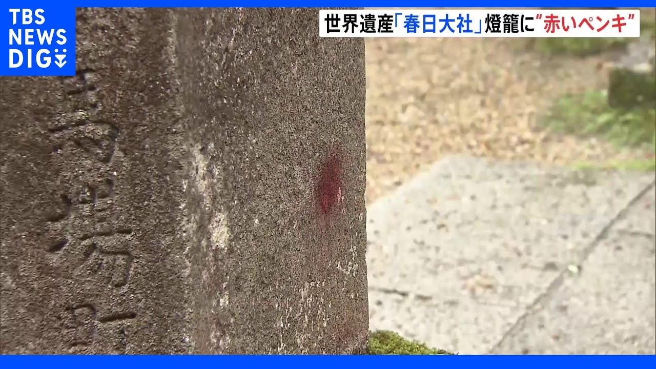 世界遺産「春日大社」の石燈籠に赤いペンキのようなものが…文化財保護法違反で捜査|TBS NEWS DIG