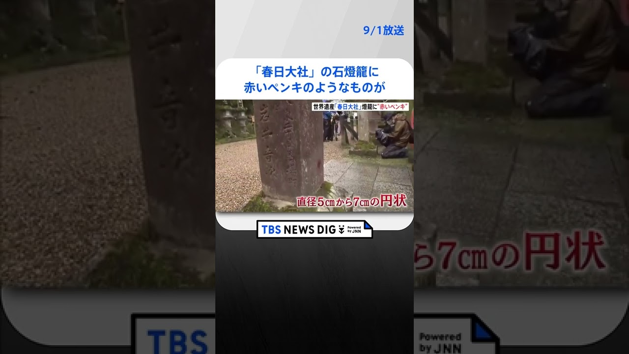 世界遺産「春日大社」の石燈籠に赤いペンキのようなものが…文化財保護法違反で捜査|TBS NEWS DIG #shorts