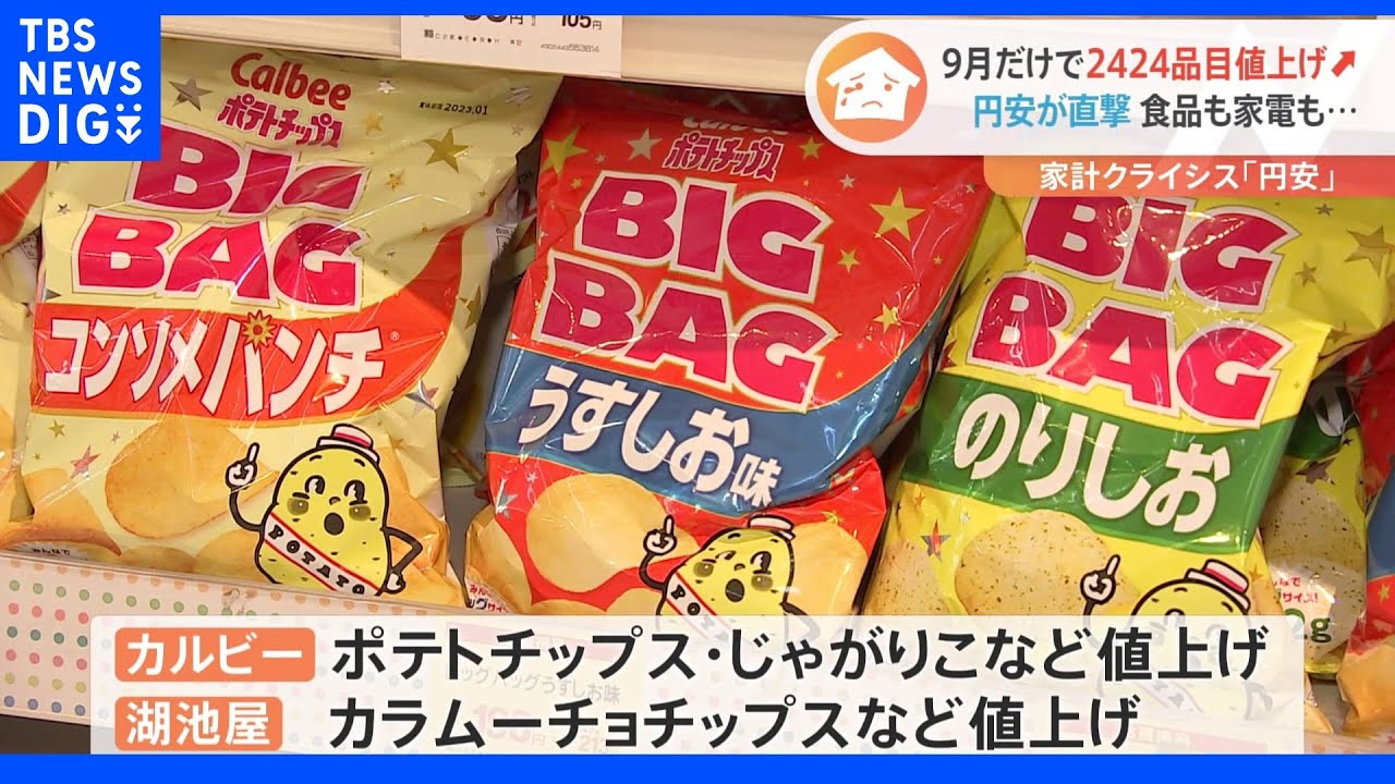 食品も家電もゲーム機も…止まらない円安が家計を直撃 9月だけで約2400品目値上げ【家計クライシス】|TBS NEWS DIG
