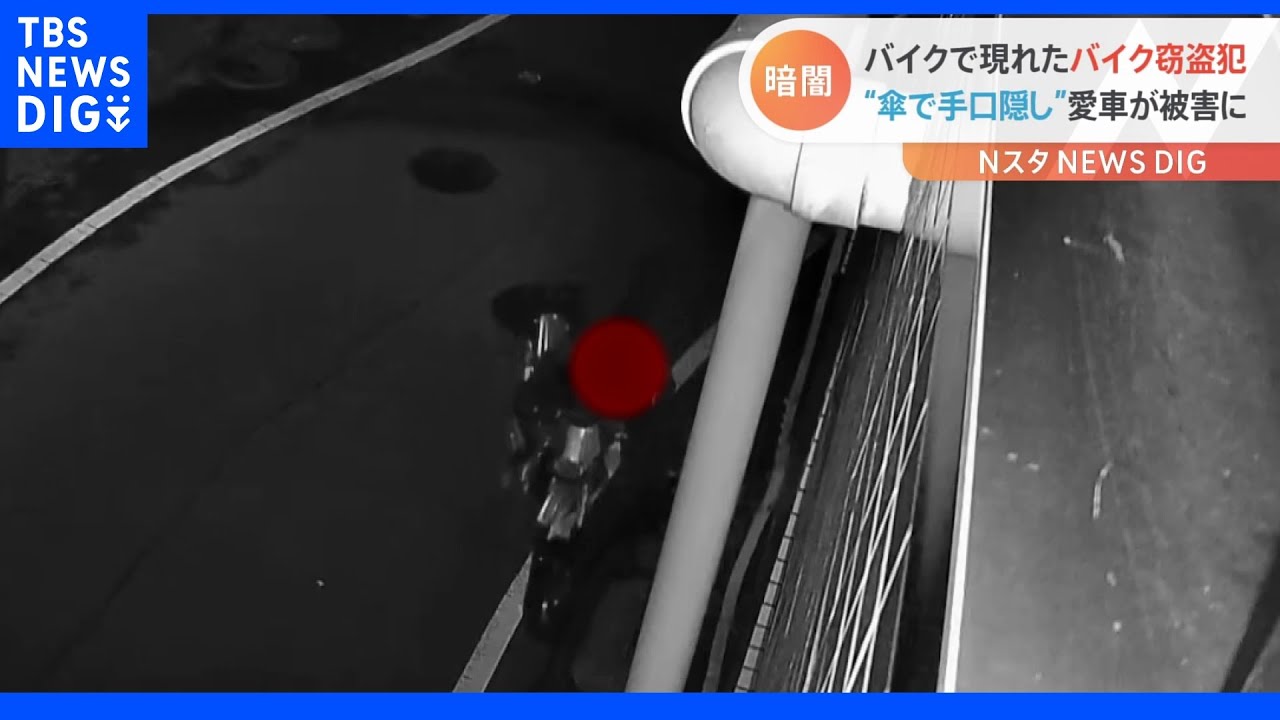 バイクに乗って現れた“バイク泥棒” 防犯カメラには“傘で犯行の手口を隠す”瞬間が|TBS NEWS DIG