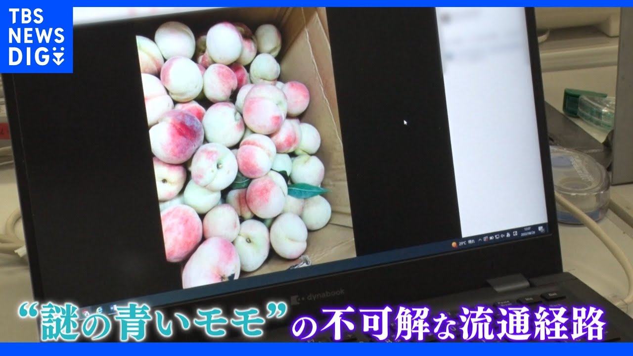 盗まれた収穫前の“青いモモ”　「路上販売団」「ベトナム食材店」「フリマサイト」など徹底追跡　“大根みたいな青いモモ”の不可解な流通経路「X社」とは｜TBS&nbsp;NEWS&nbsp;DIG
