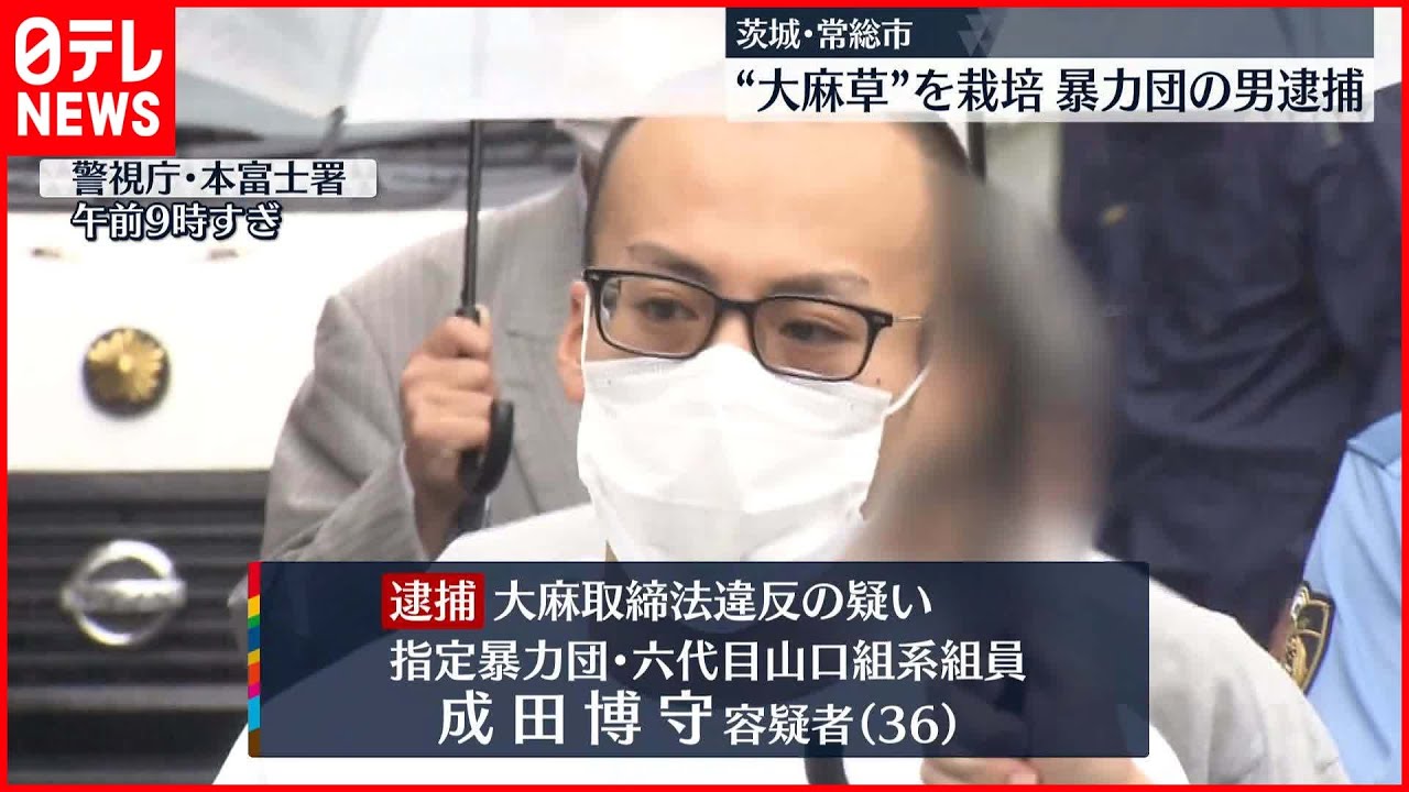 【男逮捕】ビルの一室で大麻草栽培か…調べに対し「黙秘します」