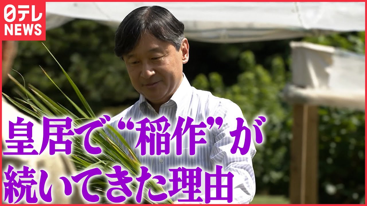 【教養としての皇室】天皇陛下による稲作が続けられてきた深いわけとは?