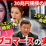 【中国】”女王”も摘発!? 政権の規制強まる”ライブコマース”の今『“新常態”中国』#18