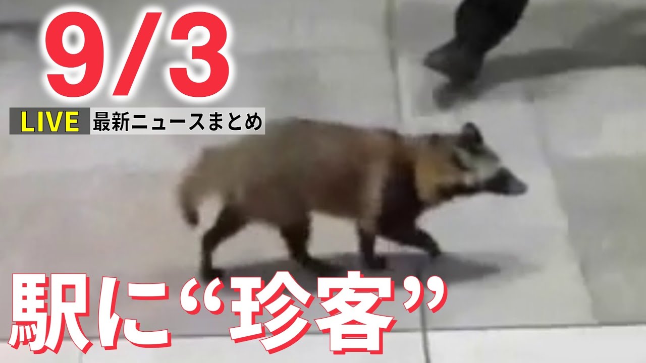 【ライブ】改札の中をトコトコ…夜の新宿駅に“珍客” / 台風11号、強い雨風の打ち付ける音が低く響き… / アイデンティティが一日サイバー犯罪対策課長に　など：最新ニュース（日テレNEWSLIVE）