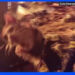 攻撃による火災現場から子ネコを救出 ウクライナ・ハルキウ｜TBS NEWS DIG