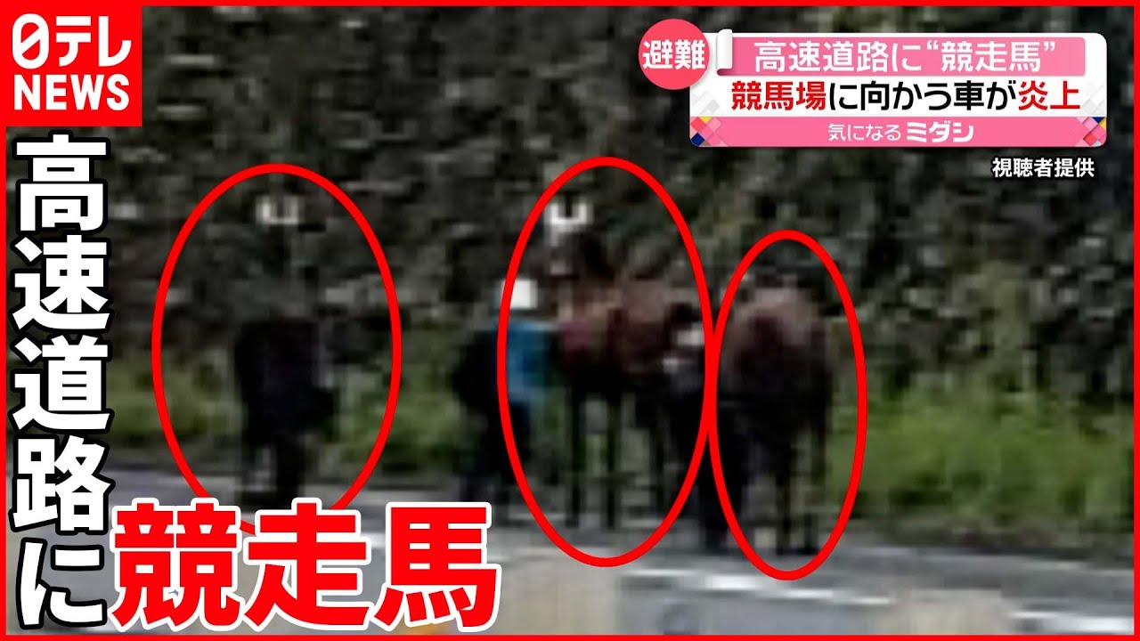 【何が】競馬場に向かう途中でトラックが炎上し…避難