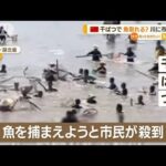 魚を取ろうと…長江に市民殺到　干ばつで水位低下(2022年9月6日)