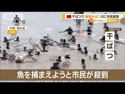 魚を取ろうと…長江に市民殺到　干ばつで水位低下(2022年9月6日)