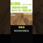 【日本画の巨匠】木島櫻谷の子孫も知らない『障壁画』発見　各地の要素入れた理想郷か（2022年9月7日）#Shorts #木島櫻谷 #障壁画