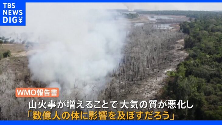 猛暑と熱波　世界で相次ぐ山火事で大気の質が悪化　WMO「数億人の体に影響及ぼす」｜TBS NEWS DIG