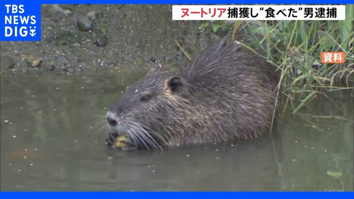 ヌートリア捕獲し…“食べた”ベトナム国籍の男を逮捕　動画投稿で「お金稼ぎたかった」｜TBS NEWS DIG