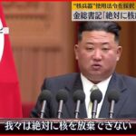 【北朝鮮】金総書記「絶対に核放棄できない」 “核使用”法令を採択