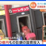 「ガソリン補助金は最初からやるべきじゃなかった」ガソリン補助金いつまで継続？ 巨額の国費1日100億円投入 政府の中から疑問の声｜TBS NEWS DIG