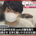 【27歳男逮捕】路上で20代女性にナンパも無視され…わいせつしケガさせたか 東京・葛飾区