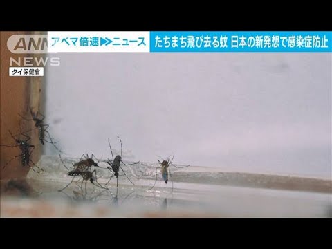 東南アジアで猛威の「蚊」 日本企業の画期的撃退法が注目(2022年9月9日)