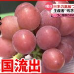 【ルビーロマン】韓国で既に商標登録”生産と販売を止めることはできない”