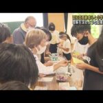 認知症に理解を…高齢者と小学生が“駄菓子屋体験”(2022年9月10日)