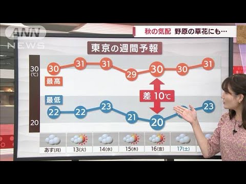 【関東の天気】秋の気配も日中は真夏日　気温差注意(2022年9月11日)
