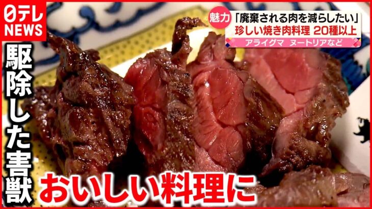 【駆除された害獣】おいしい弁当や焼き肉に！