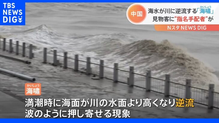 海の水が川に逆流する「海嘯」　最大予想も“期待外れ”の一方で…見物客に「指名手配者」が！　中国・浙江省｜TBS NEWS DIG