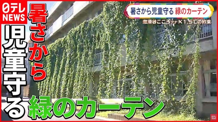 【涼しいだけじゃない！】“日本一暑い街”の小学校にあるグリーンカーテンとは？