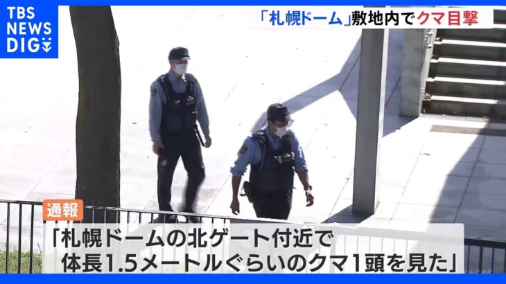 「こんな街中に…」札幌ドーム敷地内にクマの目撃情報　札幌市は住民に注意呼びかけ｜TBS NEWS DIG
