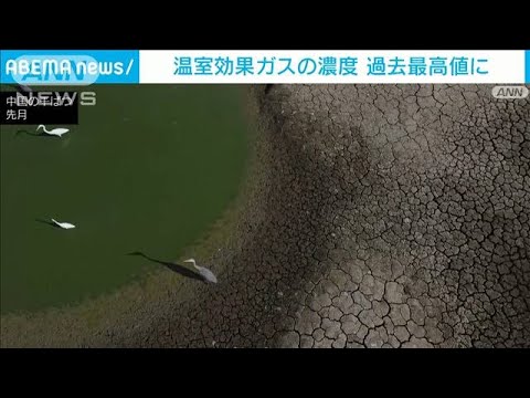 世界気象機関が報告「温室効果ガスの濃度　過去最高値に」(2022年9月16日)