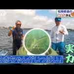 【松岡修造のみんながん晴れ】横浜の海と空気がきれいに！アマモとは(2022年9月18日)