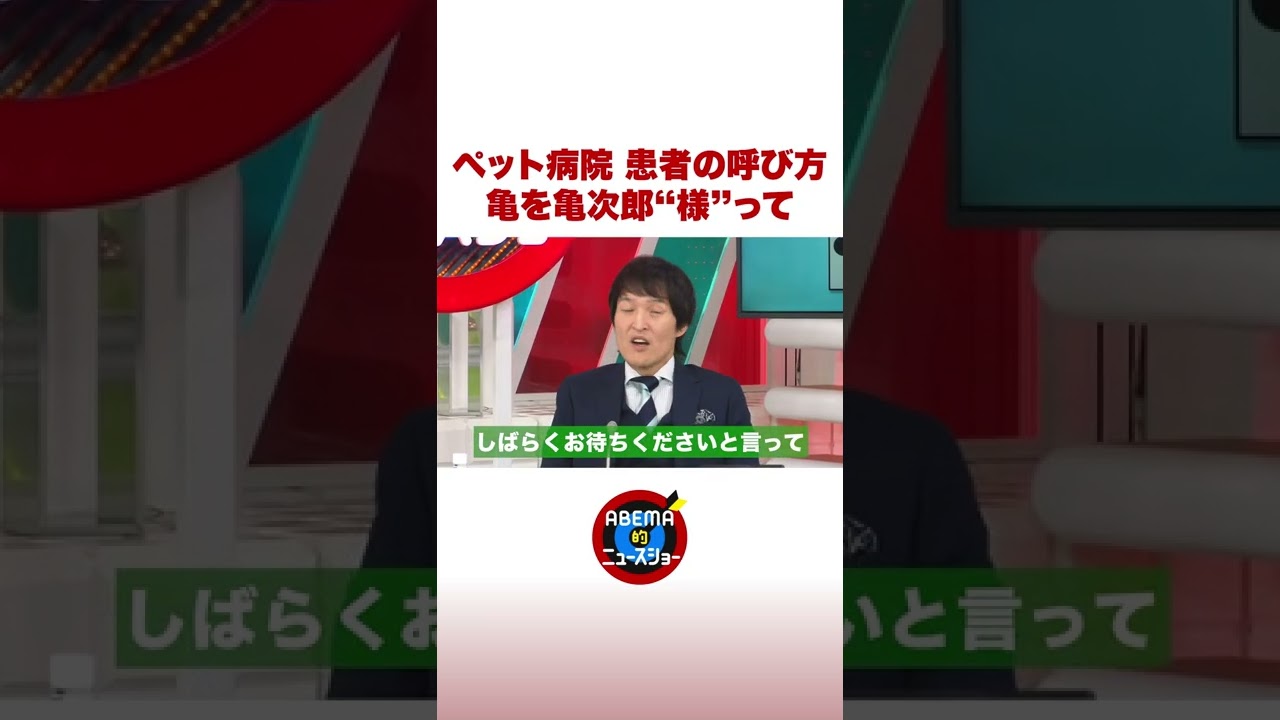 「ペット病院で亀を亀次郎“様”って…」ジュニアが驚きの体験語る #ABEMA的 #shorts