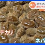 立体感ある粒に独特のテカりも再現“本物そっくり”木彫りの納豆が話題｜TBS NEWS DIG