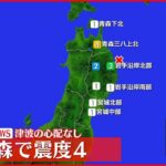 【速報】階上町で震度４ 津波の心配なし