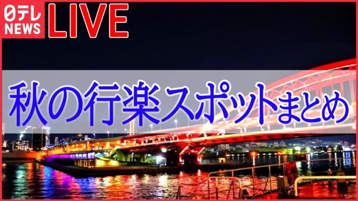 【ライブ】おでかけニュース　廃墟を“お化け屋敷”に/海を一望できる！新スポット / 五輪会場でアスリート気分 　など（日テレNEWSLIVE）