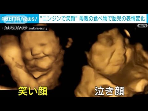 【発見】ニンジンで“笑顔”に？ 母親の食べ物で胎児の表情変化(2022年9月23日)