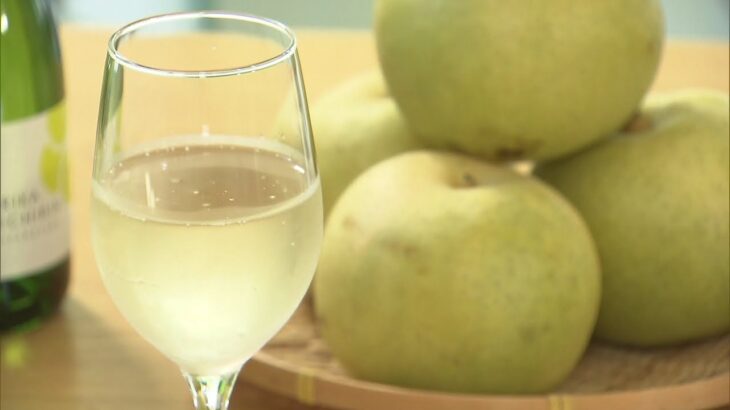 爽やかな甘さが人気！二十世紀梨を使ったワイン仕込み作業　アルコール度数は８度（2022年9月23日）
