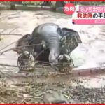 【中国】救助隊が救出「感謝を示しているようでした」雲南省