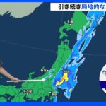台風は温帯低気圧になるも関東周辺で雷雲 午後も局地的に非常に激しい雨に警戒【予報士解説】｜TBS NEWS DIG
