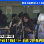 東海道新幹線は全線で運転再開　東名高速道路で一部通行止めも午後3時ごろまでには解除の見通し｜TBS NEWS DIG