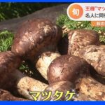 秋の味覚「キノコ」マツタケ＆たもぎ茸＆生キクラゲ　おいしい食べ方は？｜TBS NEWS DIG