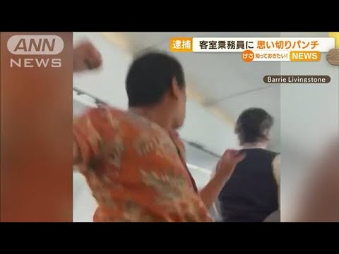 機内騒然…アメリカン航空の客室乗務員に“パンチ”(2022年9月28日)
