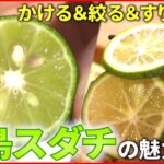 【スダチ】食卓の名脇役！歴史から料理まで魅力をご紹介　徳島　NNNセレクション