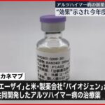 【アルツハイマー病の新薬】「エーザイ」“効果”示され 今年度内に承認申請