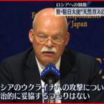 【ロシアへの制裁】駐日ドイツ大使“天然ガスのため妥協しない”