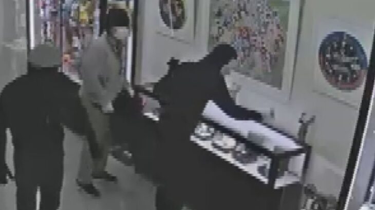 大阪・ミナミ“仮面集団強盗”がハンマーでショーケースを…犯行の一部始終　動物病院ではメダカ窃盗