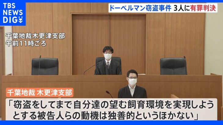 ドーベルマンを盗んだ動物愛護団体の女3人に有罪判決 「独善的というほかない」｜TBS NEWS DIG